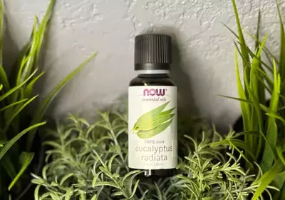 Now Essential Oil